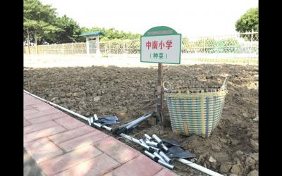 体验绿色种植，感受花开有声
