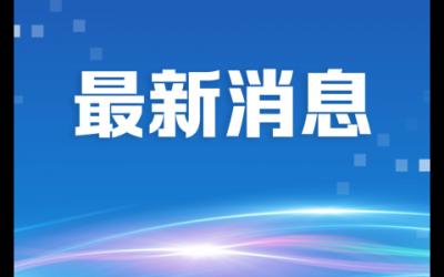 317764份！坦洲核酸检测全部阴性！