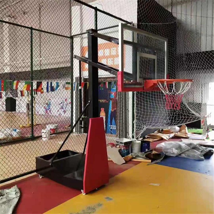 泰昌体育 儿童篮球架 少儿移动篮球架 自产家用篮球架(图8)