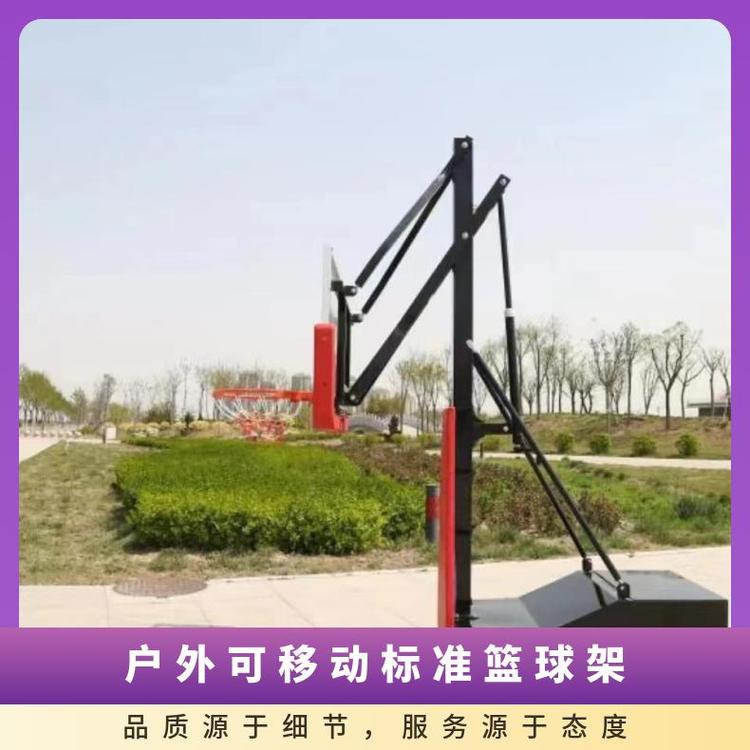 移动篮球架 成人 户外室外标准篮球架框家用学校比赛训练广场(图6)
